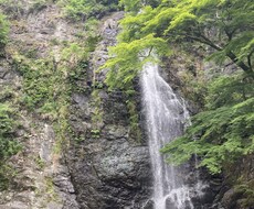 どんな小さなことでも構いません、お話し聞きます イメージ1