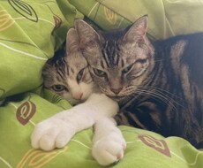 あなたのお悩みを聞いて、背中を押します イメージ1