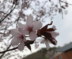 空いてる時間に2日間！何でも聞きます イメージ1
