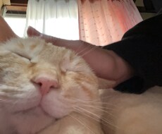 暇な方や、隠し事・話しにくい事お話し聞きます イメージ1
