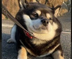 あなたのペースでお話し聞きます イメージ1