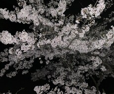 恋愛相談お受けします イメージ1