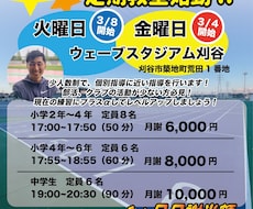 起業する方必見・低価格でチラシ作ります イメージ1