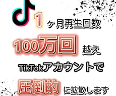 TikTok100万再生アカウントで拡散します イメージ1