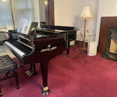 伴奏音源の提供、お手本演奏、演奏添削などをします イメージ1