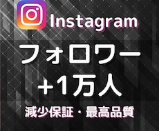 Instagramのフォロワー1万人以上増やします イメージ1