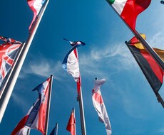 新卒採用エントリーシートの添削を行います イメージ1