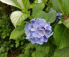 美容整形の悩みなどお話聞きます イメージ1