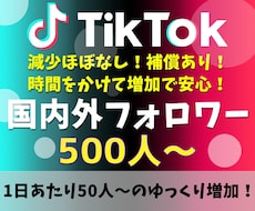 TikTokフォロワー 500人～増加させます イメージ1