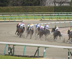 妙味のある穴馬の情報を当日ご提供させて頂きます イメージ1