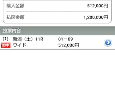 競艇競馬だけで生活 可能です 予想します イメージ1