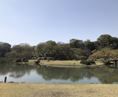 心の癒しの手助け　明日が楽しみになる手助けをします イメージ1