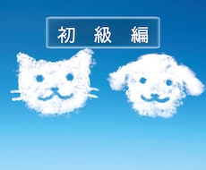 わかりやすいタイプ診断で4つのタイプに診断します チェックシートでのタイプ判別後診断をPDFにて送付いたします