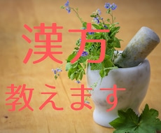 漢方薬剤師の仕事教えます イメージ1