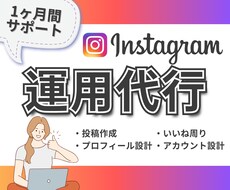 Instagram運用代行を1ヶ月おこないます