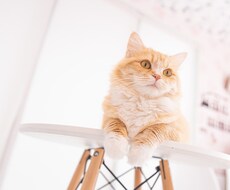愚痴聞きます イメージ1