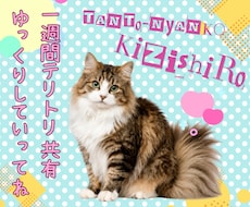 テリトリ共有一週間✭キミの近くをパトロールします 猫的距離感の7日間【ゆっくりしていってね】最終日は…!?