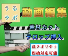 カットテロップ挿入で動画編集の仕事をお手伝いします イメージ1