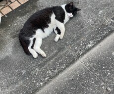 日々の悩み、愚痴、男の気持ち相談に乗ります イメージ1