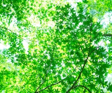 ブログ記事等・記事代理執筆・ライティングします あなたの好きなテーマに合わせて作成します