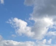 メッセージをお伝えします イメージ1
