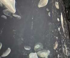 恋のお悩み解消いたします イメージ1