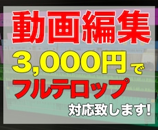YoutubeやSNS動画を編集します イメージ1
