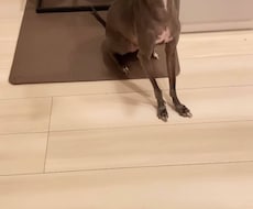 Instagramリール1本を編集します イメージ1