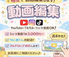 実績作り中動画編集なんでもやります イメージ1