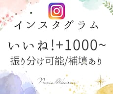 Instagramのいいね数を1000個増やします イメージ1