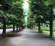 英語/日本語の翻訳を、¥2/1文字で承ります 気軽に頼める翻訳をお探しのあなたへ