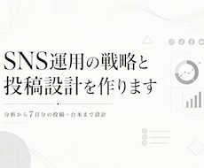 SNS運用の戦略と投稿設計を作ります イメージ1