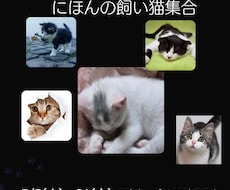 サムネイルに使えます イメージ1