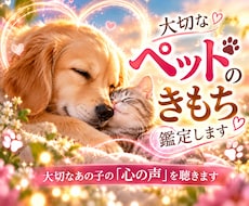 大切なあの子の「心の声」を聴きます うちの子の気持ち、行動の理由を知りたい方へ