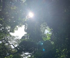 心の病を持ったあなたのその心の叫び聞きます イメージ1