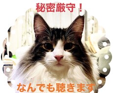 悩み、愚痴、相談、なんでも聴きます イメージ1