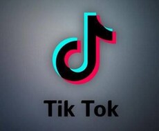 TikTokフォロワー～増えるまで拡散します イメージ1