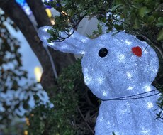 日常の何気ない話、今の気持ち聞きます イメージ1