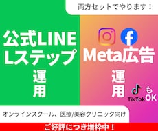 Meta/Tik広告運用+公式LINEの運用します イメージ1