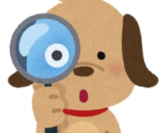 臨床獣医師があなたの犬猫の気持ち・考えを類推します ペットの行動にお悩みの方向け！獣医があなたと一緒に考えます！