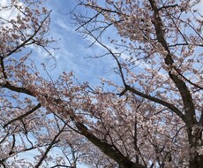 相談相手⭐︎話し相手になります イメージ1