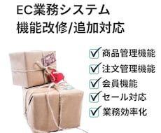 EC業務システムの機能改修/追加対応をします 既存のEC業務システムを改善したい方へ