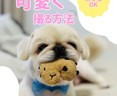 Instagram投稿画像を作ります イメージ1