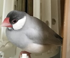 愚痴やたわいも無い話でもいいので待ってます イメージ1