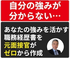話すだけ｜元面接官が職務経歴書・履歴書を作成します 「自分の強みが分からない」という方にオススメ、白紙でもOK