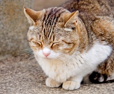 じっくりお話聞きます イメージ1