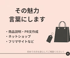 売れる商品説明・PR文を作成します その魅力、ちゃんと言葉にします
