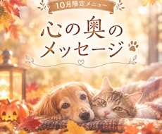 10月限定メニュー!!ペットとお話します イメージ1
