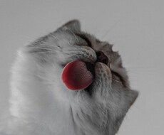 少しでも話してみませんか？絶対楽にさせます イメージ1