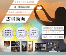 動画・映像制作・企業動画広告・SNS動画制作します イメージ1